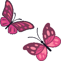 two pink butterflies on a white background