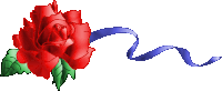 a red rose with a blue ribbon behind it