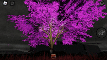 a tree with purple leaves is displayed on a phone screen