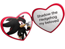 a picture of shadow the hedgehog in a heart shaped frame