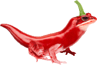 a lizard that looks like a red pepper with a green stem on its head