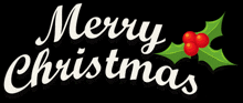 a merry christmas sign with a holly and berries