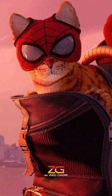 a cat wearing a spider-man mask is sitting in a backpack