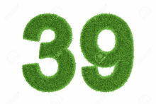 the number 39 is made of grass on a white background