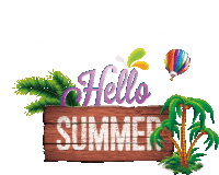 a wooden sign that says hello summer on it