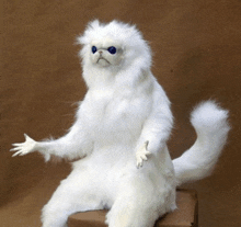 a stuffed white cat with blue eyes sitting on a box