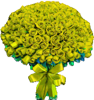 a bunch of yellow roses with a yellow bow on a white background