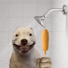 a dog taking a shower with a corn dog sticking out of it