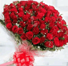 a large bouquet of red roses with white baby 's breath