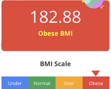 a screen shows a person 's bmi scale and their weight