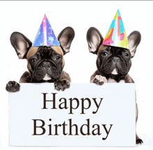 two french bulldogs wearing party hats holding a sign that says happy birthday