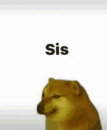 a close up of a dog with the word sis on it .