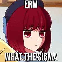 a picture of a girl with red hair and the words erm what the sigma on her face