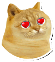 a sticker of a cat with heart shaped eyes on a white background