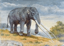 a painting of an elephant with long tusks standing on top of a grass covered hill .