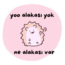 a pink circle with a hedgehog and the words yoo alakasi yok ne alakasi var on it