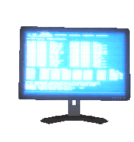 a dell computer monitor displays a blue screen with white text