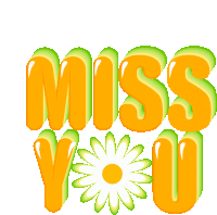 a graphic that says miss you with a flower in the background