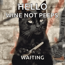 a black cat is holding a knife and fork in its paws and says hello wine not peeps waiting .