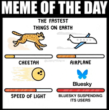 meme of the day the fastest things on earth cheetah airplane and bluesky suspending its users