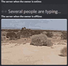 the server when the owner is online several people are typing ... the server when the owner is offline :