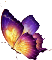 a butterfly with purple and yellow wings is flying in the air