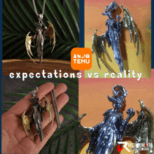 a hand holding a dragon necklace with the words expectations vs reality on top