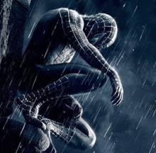 a black and white photo of a spiderman sitting on a rock in the rain .