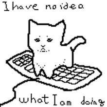 a black and white drawing of a cat sitting on a keyboard with the words i have no idea what i am doing