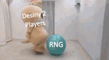 a teddy bear mascot is standing in front of a sign that says destiny 2 players ..