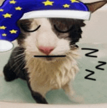 a black and white cat wearing a blue sleep hat with stars on it .