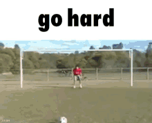 a man in a red shirt is jumping to catch a soccer ball in front of a soccer goal .