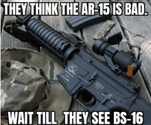 they think the ar-15 is bad , wait till they see bs-16 .