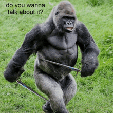 a gorilla holding a sword with the words do you wanna talk about it behind him