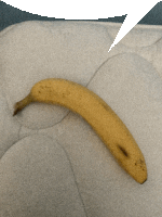 a banana with a speech bubble above it