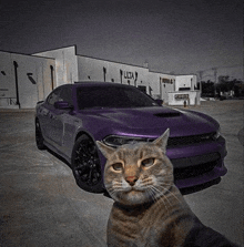 a cat taking a selfie in front of a purple car that says ulta