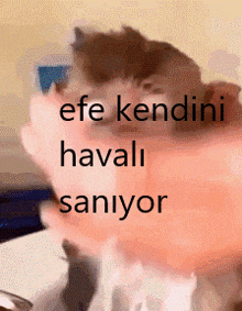 a cat with the words efe kendini havali saniyor on it