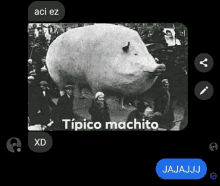 a black and white photo of a pig with the words tipico machito on it