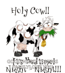 a cartoon cow eating grass with the words holy cow good night youngs family love you !!!