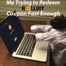 a cat is typing on a laptop with the words " me trying to redeem rollbit coupon fast enough "