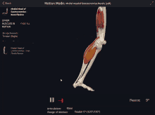 a computer screen shows a muscle and says motion mode on the top