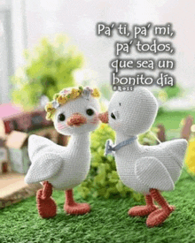 two stuffed ducks are kissing each other on the grass with a quote in spanish