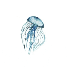 it is a watercolor painting of a jellyfish .