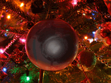 a close up of a christmas tree with a ball that says sky