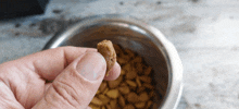 a person is holding a piece of dog food in their hand in front of a bowl of dog food