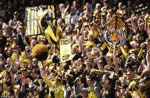 a tigers fan holds up a sign that says " cup "