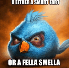 a picture of an angry bird with a caption that says either a smart fart or a fella smella