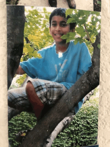 a boy in a blue shirt sits on a tree branch