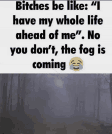 a poster that says " bitches be like i have my whole life ahead of me " with a foggy forest in the background