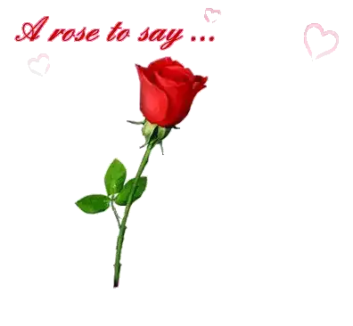 a rose to say i love you with a pink heart in the background